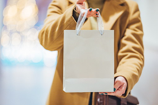 Shopping Bag in My Hand. Closeup of female hand holding shopping bags, showing package with white copy space for store advertising, promotional text or image