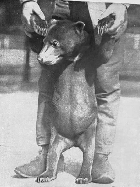 Photography from 1899