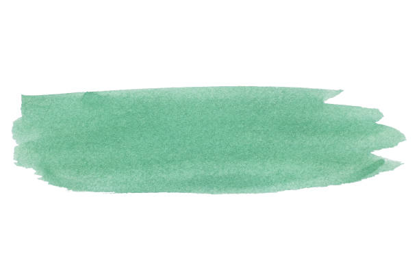 istock abstract acrylic watercolor paint brush stroke texture isolated on white background for logo and banner. design, creative, and illustration. 1364590188