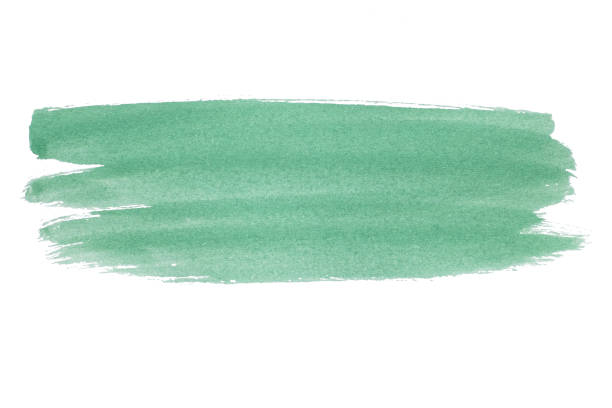 istock abstract acrylic watercolor paint brush stroke texture isolated on white background for logo and banner. design, creative, and illustration. 1364590196