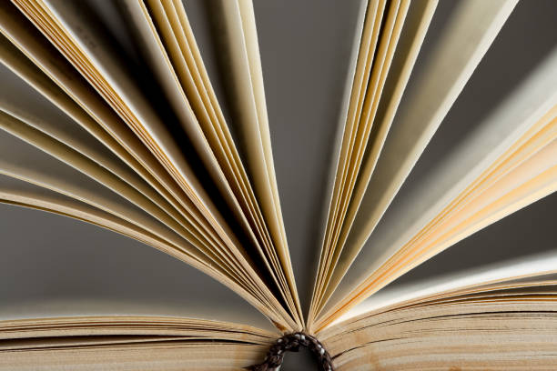 istock open book pages close-up - education and wisdom concept 1364599157