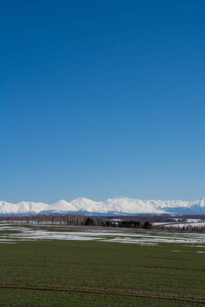 istock Green fields with residual snow and snowy mountains on a sunny spring day 1364601994