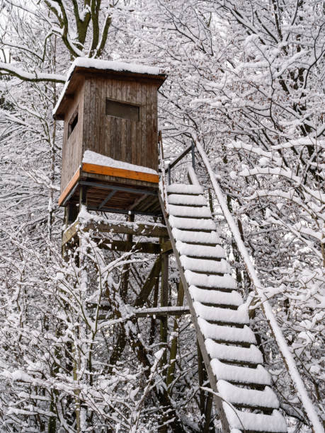 istock Raised Hide or Perch in Winter with Snow 1364606634