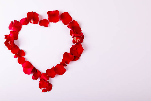 Overhead view of red rose petals arranged as heart shape with copy space on white background. love and valentine symbol.