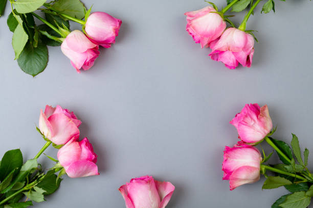 istock Overhead view of copy space surrounded by fresh pink roses over blue background 1364608467
