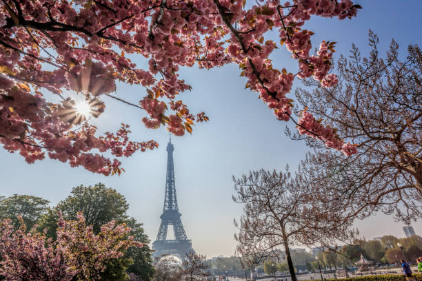 istock Eiffel Tower with spring trees against blue sky in Paris, France 1364609930