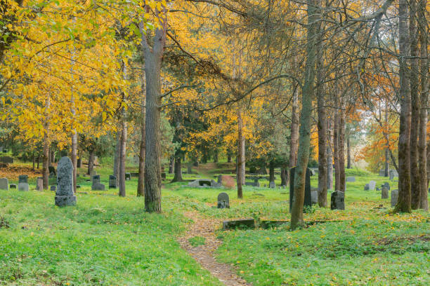 istock Old finnish cemetery at autumn day. 1364610310
