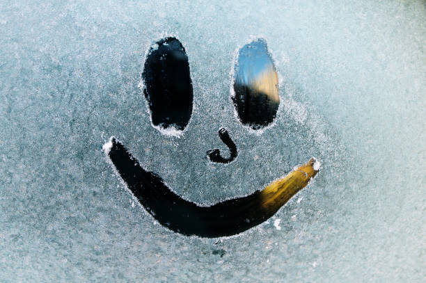 smiley auf einem auto mit frost gezeichnet - window frozen car cold stock-fotos und bilder
