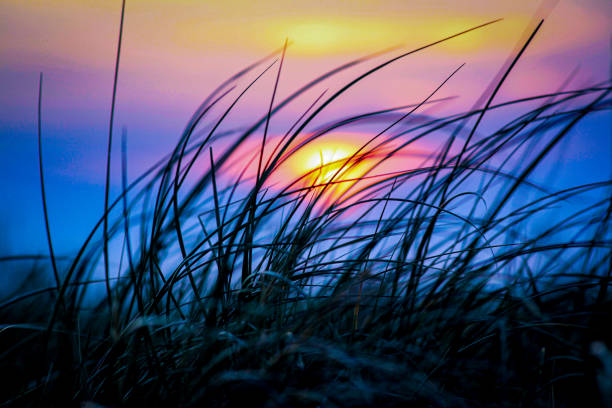 istock Sonnenuntergang am Strand 1364612730