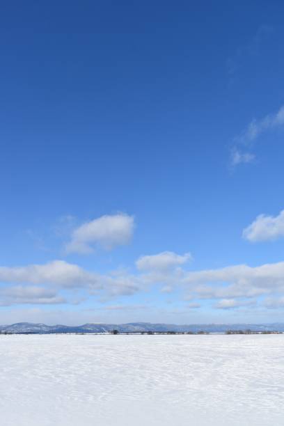 Un ciel bleu A blue sky in winter, Montmagny, Quebec, Canada ciel bleu stock pictures, royalty-free photos & images