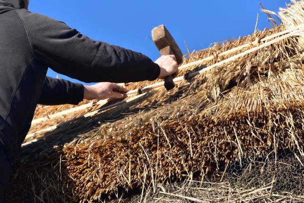 Roof Thatching Roof Thatcher working. thatched roof stock pictures, royalty-free photos & images