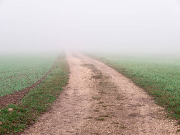 istock Misty landscape in Switzerland 1364617058