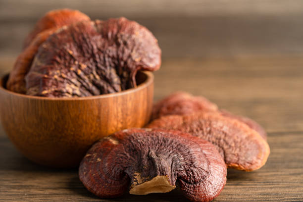 istock Dried lingzhi mushroom isolated on white background with clipping path. 1364617064