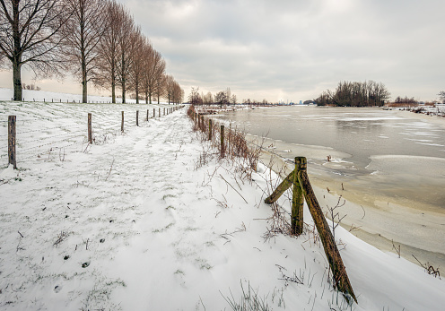 Dutch polder landscape in wintertime. Three parallel wooden barbed wire fences are visible in the snowy landscape. The photo was taken in the province of North Brabant on a cloudy morning.
