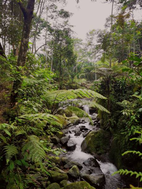 istock Balong Mutiara Indah Waterfall 1364623129
