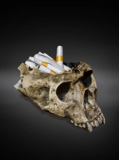 kuvapankkikuvat ja rojaltivapaat kuvat aiheesta tupakoinnin vaarat aiheuttavat kuoleman - electronic cigarette lighter