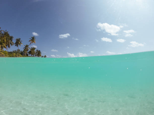 istock Tropical sea, split screen underwater shot 1364624211