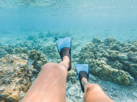 She explores the reef around the atoll in the Maldives, people on vacations, she adventures underwater