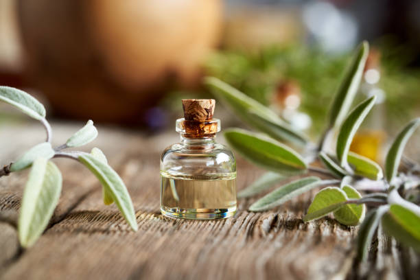 istock A bottle of aromatherapy essential oil with fresh sage 1364626105