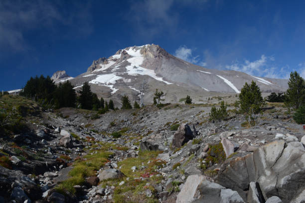 istock Majestic Mount Hood Explored 1364628298