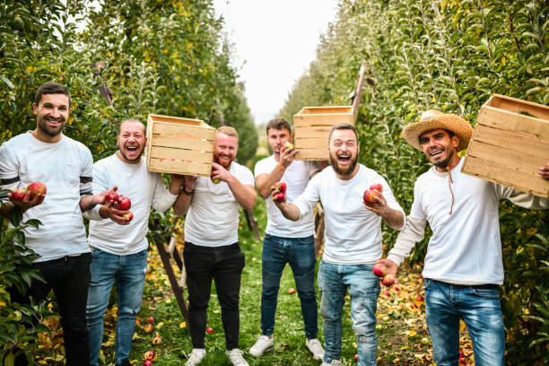 istock Mixed Team Of Workers And People With Disabilities Showing Happiness While Harvesting Apples 1364628472