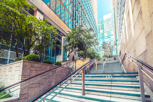 Garden among modern buildings in Canary Wharf