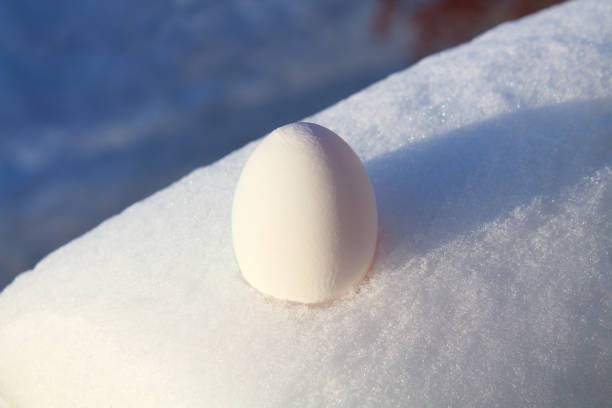 White chicken eggs in the snow. Close-up. Background. Easter egg. The arrival of spring.