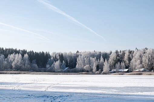 Winter landscape, frozen lake, snow-covered forest on the horizon.  Sunny winter day, clear blue sky.  Winter idyll in nature, winter fairy tale.
