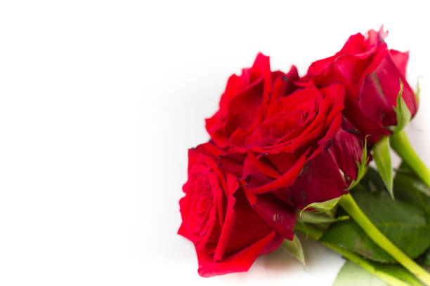 istock Bouquet of red roses isolated on white background. 1364635487