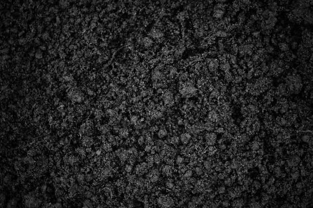 istock Dark black soil. Close-up. Top view. Background. Texture. 1364636377
