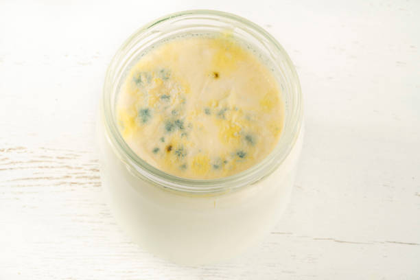 top view of rotten moldy yogurt or yoghurt in jar stock photo
