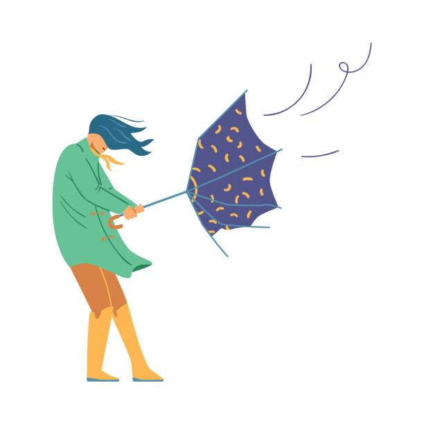 Woman tries to escape heavy wind with umbrella turned inside out, flat vector illustration isolated on white background. Woman tries to escape heavy wind with umbrella turned inside out, flat vector illustration isolated on white background. Bad weather conditions - hurricane, rain, thunderstorm or tornado. gale illustrations stock illustrations