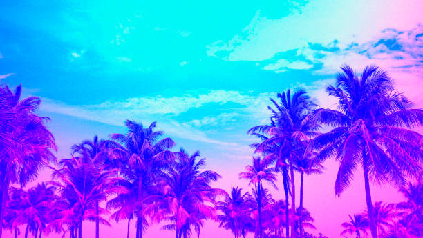 istock Beautiful palms trees against sky background with grain texture . 1364637505