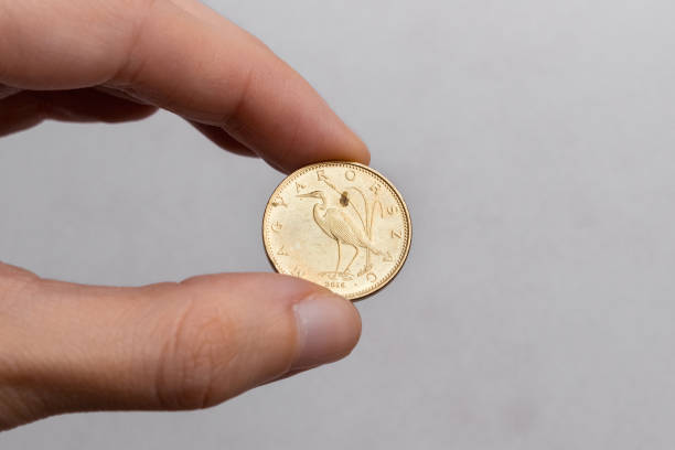 istock A hand holds a Hungarian five forint coin on a white background close-up 1364638688