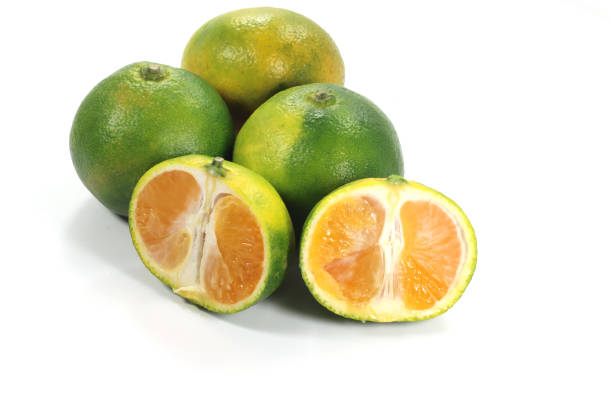 istock imported fruit in season September Miyagawa Miyagawa 1364641877