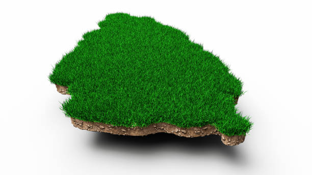 istock Saint Lucia Map Grass and ground Map texture 3d illustration 1364642597