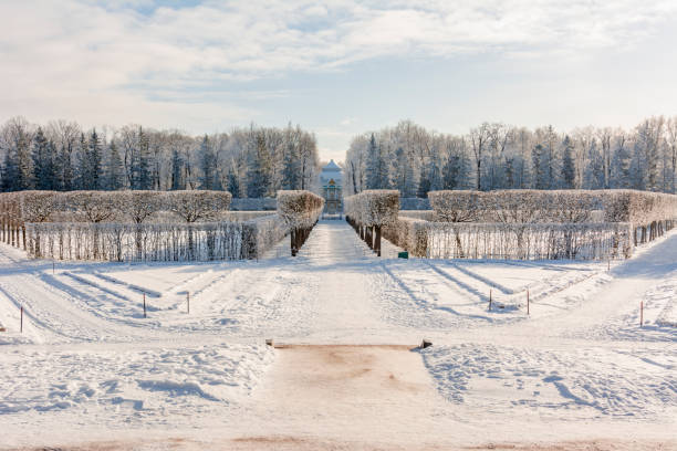 catherine park en invierno, tsarskoe selo (pushkin), san petersburgo, rusia - catherine park fotografías e imágenes de stock