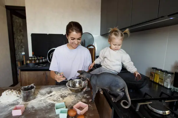 Photo of a little girl and a bald sphinx cat watch attentively as a caring mother cooks food in the kitchen