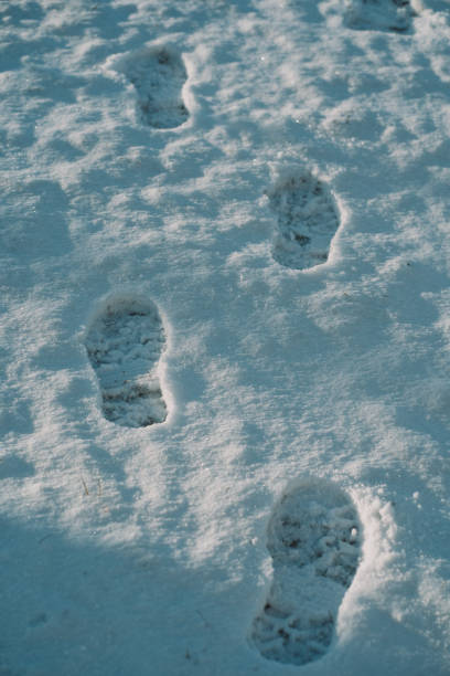 Photo of footprints on white snow.