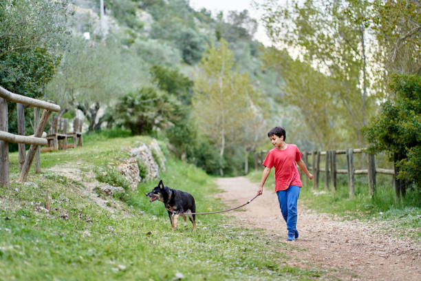 süßer kleiner junge, der mit seinem kleinen hund im ländlichen rapsfeld neben ihm spazieren geht, junge, der auf einem kleinen pfad geht - dog walking child little boys stock-fotos und bilder