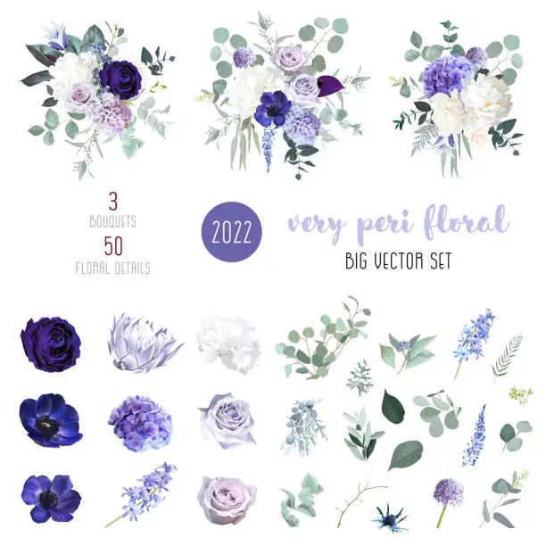 Vector illustration of Periwinkle violet, purple anemone, dusty mauve and lilac rose, white hydrangea, hyacinth, magnolia