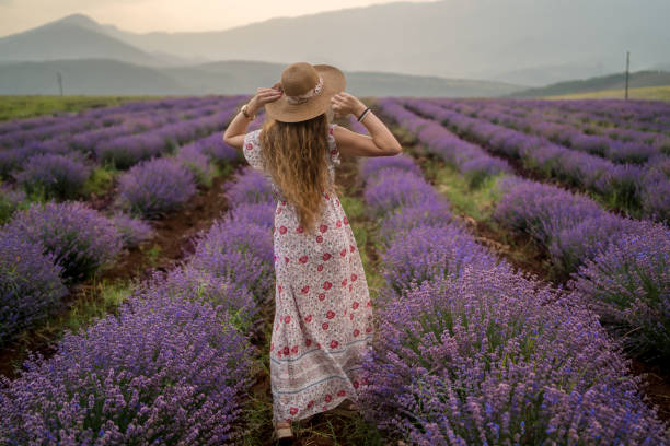 istock Young woman at a lavender field 1364656729