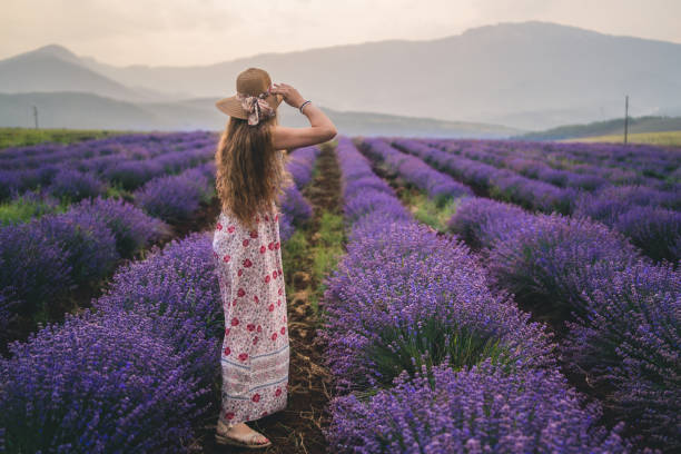 istock Young woman at a lavender field 1364656747