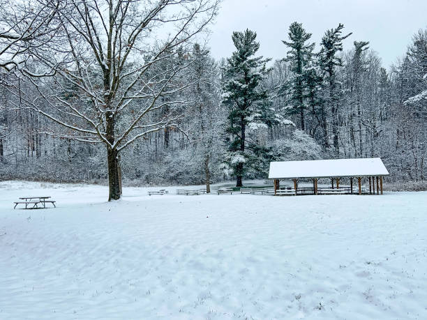 istock Boyd Conservation Park in winter, Woodbridge, Canada 1364668036