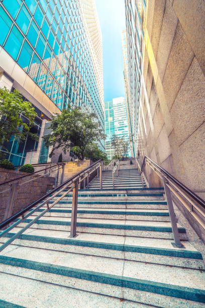 istock Garden among modern buildings in Canary Wharf 1364669451