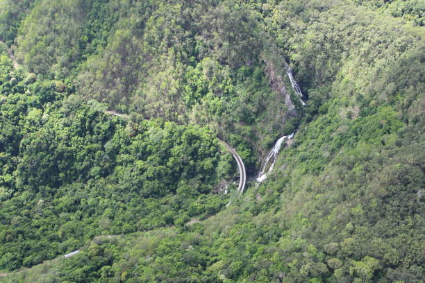 istock Full frame aerial shot of rainforest 1364674203