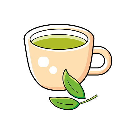 Green tea cup and tea branch with two leaves isolated cartoon vector
