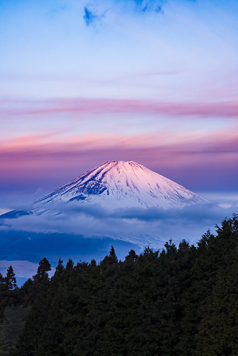 Mt. Fuji in the morning glow with snow