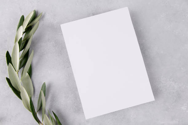istock blank wedding invitation stationery card mockup on grey stone table background with olive branches, 5x7 1364677556