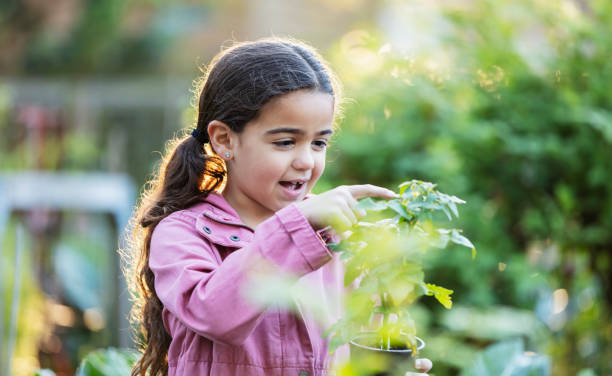 une fille hispanique examine une plante dans un jardin communautaire - child blank expression pensive focus on foreground photos et images de collection